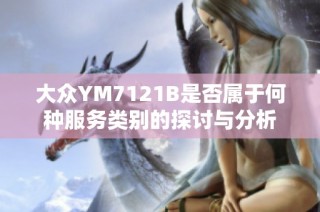 大众YM7121B是否属于何种服务类别的探讨与分析