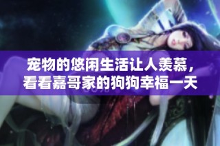 宠物的悠闲生活让人羡慕，看看嘉哥家的狗狗幸福一天