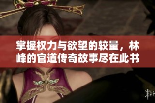 掌握权力与欲望的较量，林峰的官道传奇故事尽在此书之中