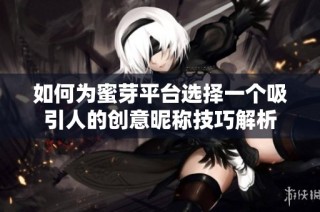 如何为蜜芽平台选择一个吸引人的创意昵称技巧解析