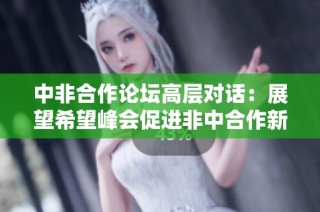 中非合作论坛高层对话：展望希望峰会促进非中合作新领域