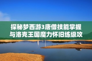 探秘梦西游3唐僧技能掌握与洛克王国魔力怀旧练级攻略