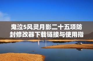 鬼泣5风灵月影二十五项防封修改器下载链接与使用指南