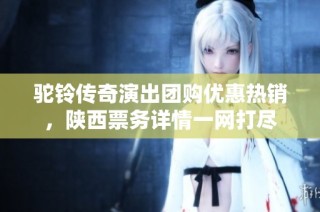 驼铃传奇演出团购优惠热销，陕西票务详情一网打尽
