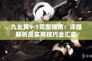 九幺黄9·1完整指南：详细解析及实用技巧全汇总