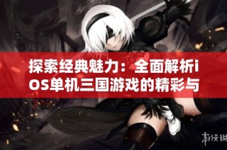 探索经典魅力：全面解析iOS单机三国游戏的精彩与策略
