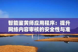 智能鉴黄师应用程序：提升网络内容审核的安全性与准确性