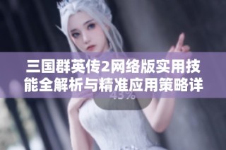 三国群英传2网络版实用技能全解析与精准应用策略详解攻略