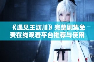 《遇见王沥川》完整剧集免费在线观看平台推荐与使用指南