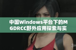 中国Windows平台下的MGDRCC野外应用探索与实践
