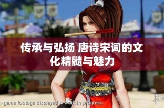 传承与弘扬 唐诗宋词的文化精髓与魅力