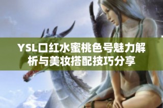 YSL口红水蜜桃色号魅力解析与美妆搭配技巧分享