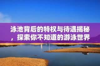 泳池背后的特权与待遇揭秘，探索你不知道的游泳世界