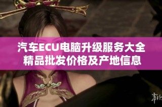 汽车ECU电脑升级服务大全 精品批发价格及产地信息一览