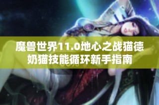 魔兽世界11.0地心之战猫德奶猫技能循环新手指南