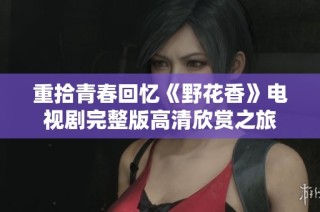 重拾青春回忆《野花香》电视剧完整版高清欣赏之旅