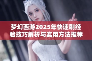 梦幻西游2025年快速刷经验技巧解析与实用方法推荐
