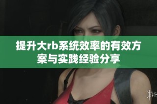 提升大rb系统效率的有效方案与实践经验分享