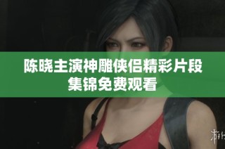 陈晓主演神雕侠侣精彩片段集锦免费观看