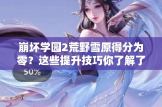 崩坏学园2荒野雪原得分为零？这些提升技巧你了解了吗