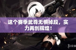 这个赛季武尊无惧掉段，实力再创辉煌！