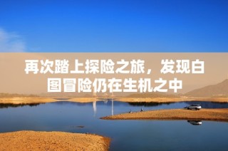 再次踏上探险之旅，发现白图冒险仍在生机之中