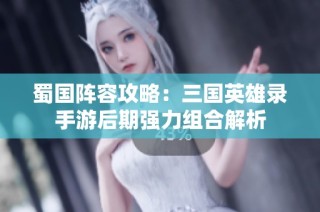 蜀国阵容攻略：三国英雄录手游后期强力组合解析