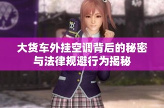 大货车外挂空调背后的秘密与法律规避行为揭秘