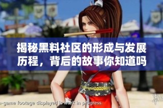 揭秘黑料社区的形成与发展历程，背后的故事你知道吗