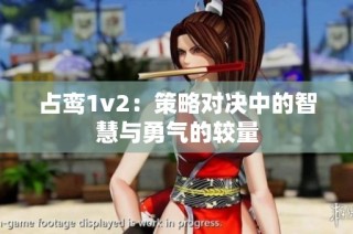 占鸾1v2：策略对决中的智慧与勇气的较量