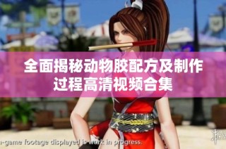 全面揭秘动物胶配方及制作过程高清视频合集