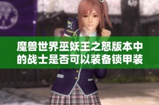 魔兽世界巫妖王之怒版本中的战士是否可以装备锁甲装备详解