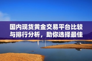 国内现货黄金交易平台比较与排行分析，助你选择最佳投资途径