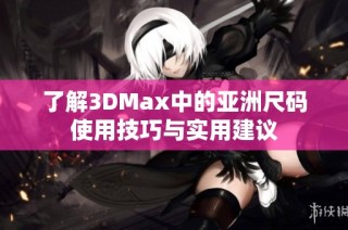 了解3DMax中的亚洲尺码使用技巧与实用建议