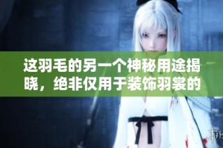 这羽毛的另一个神秘用途揭晓，绝非仅用于装饰羽裳的秘密