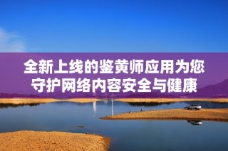 全新上线的鉴黄师应用为您守护网络内容安全与健康