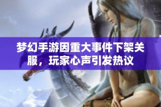 梦幻手游因重大事件下架关服，玩家心声引发热议