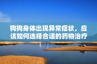 狗狗身体出现异常症状，应该如何选择合适的药物治疗