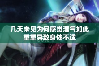 几天未见为何感觉湿气如此重重导致身体不适