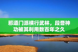 邪道门派横行武林，段誉神功被其利用数百年之久