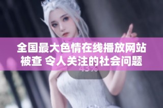全国最大色情在线播放网站被查 令人关注的社会问题再引热议