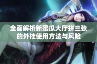 全面解析新蜜瓜大厅拼三张的外挂使用方法与风险