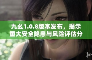 九幺1.0.8版本发布，揭示重大安全隐患与风险评估分析