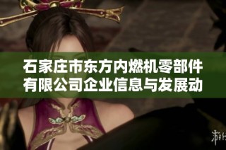 石家庄市东方内燃机零部件有限公司企业信息与发展动态分析