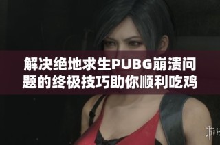 解决绝地求生PUBG崩溃问题的终极技巧助你顺利吃鸡