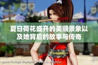 夏日荷花盛开的美丽景象以及她背后的故事与传奇