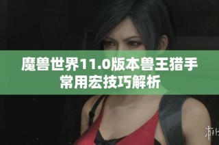 魔兽世界11.0版本兽王猎手常用宏技巧解析