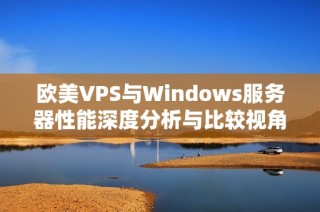 欧美VPS与Windows服务器性能深度分析与比较视角