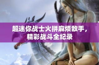 超迷你战士火拼麻烦敌手，精彩战斗全纪录