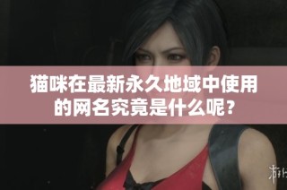 猫咪在最新永久地域中使用的网名究竟是什么呢？